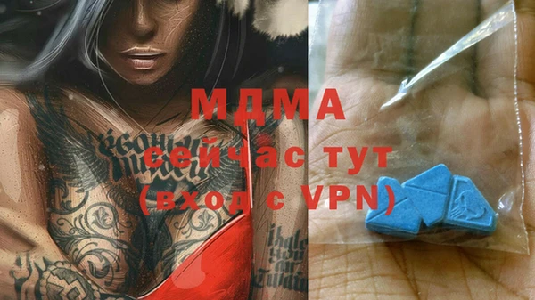 гидра Алексеевка