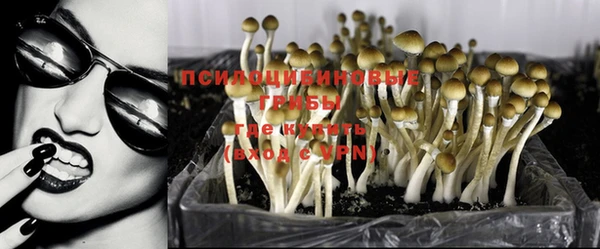 герыч Алексин